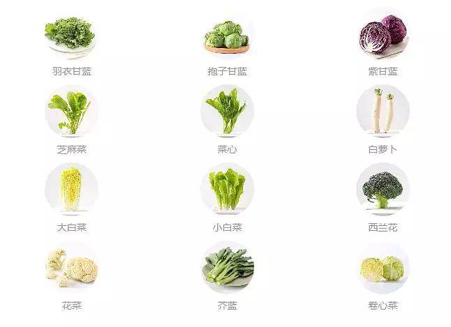 怎样可以提高新陈代谢功能 ba1d081cd3d54e01ab7ea4568ee17f17.jpeg