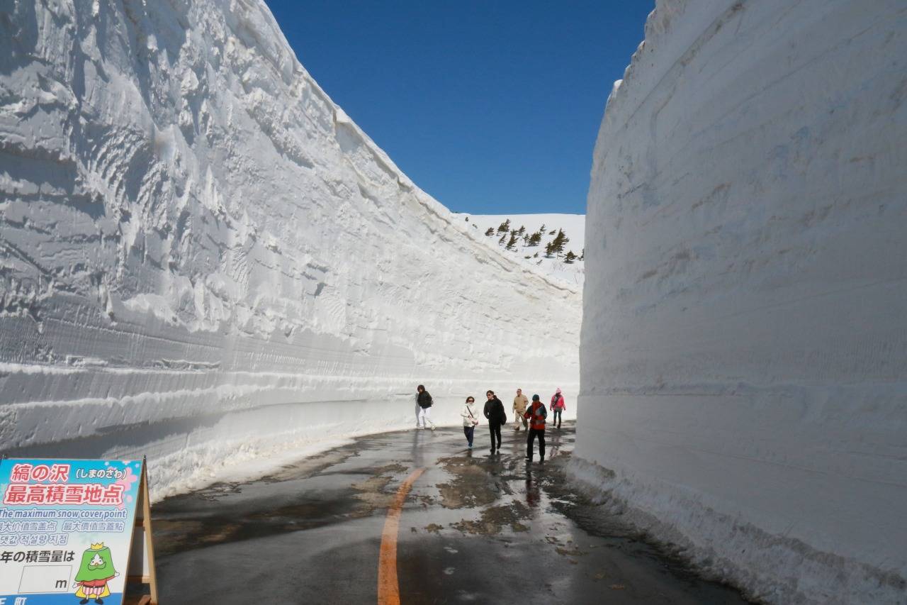 横亘日本宫城与山形的“藏王ECO LINE”开通!9米雪墙震撼来袭