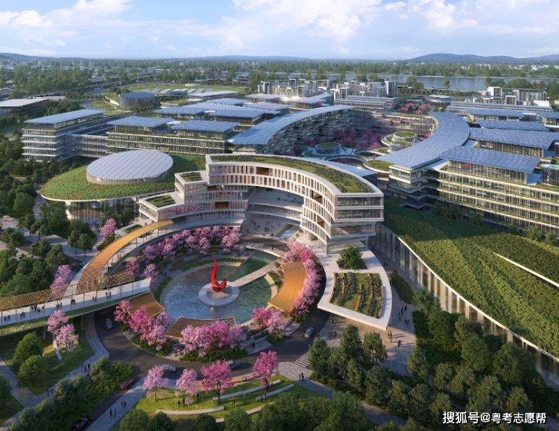 广东大学排行榜_广东的大学_广东大学放假时间寒假2025