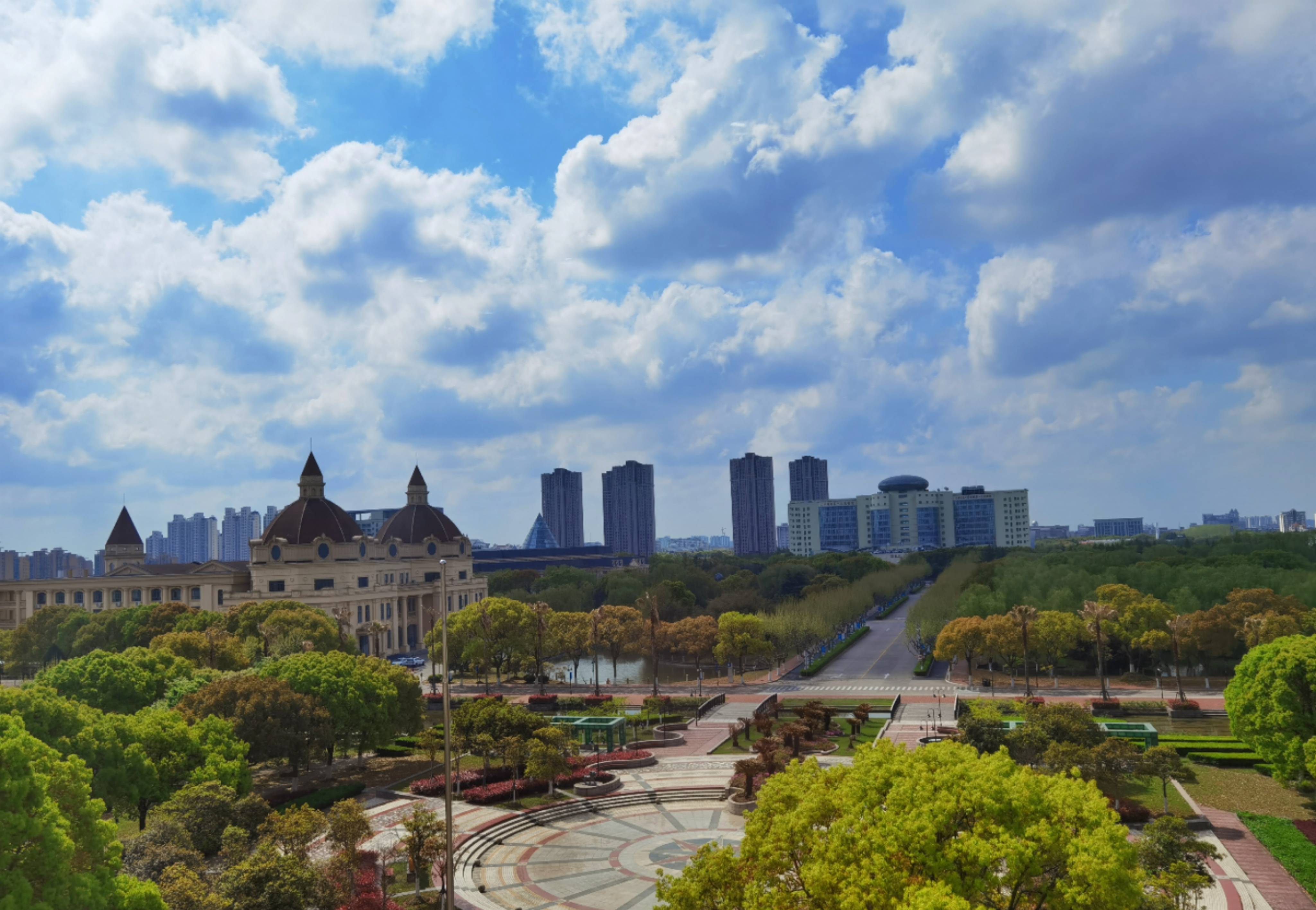 上海外国语大学全景图图片