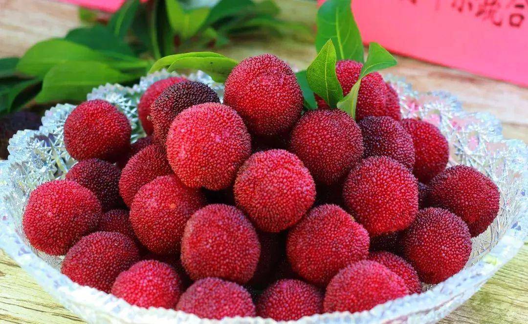 5月时令美食清单,一个比一个美味,看看有没有你爱吃的?_青梅