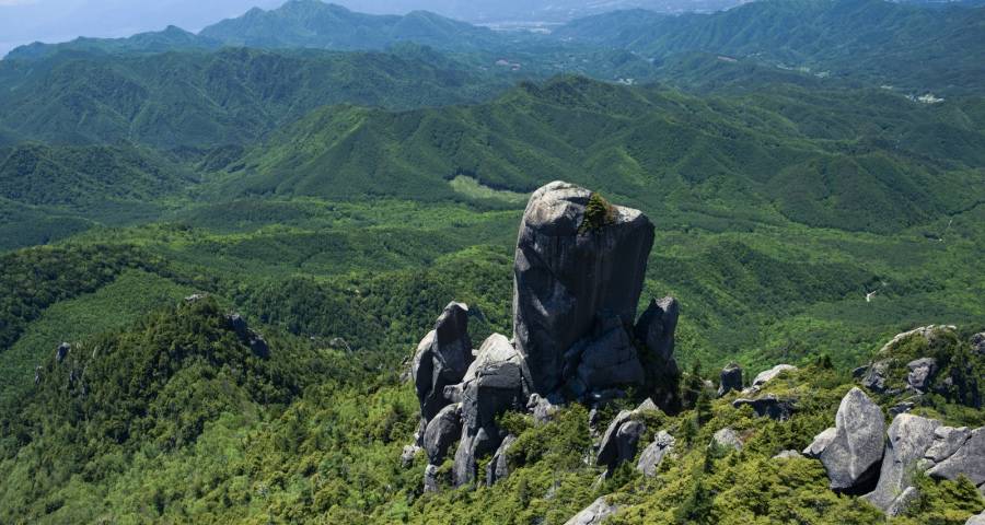 拨开云雾见月明！家电线下渠道商今后凭什么活下去？-家电圈官网