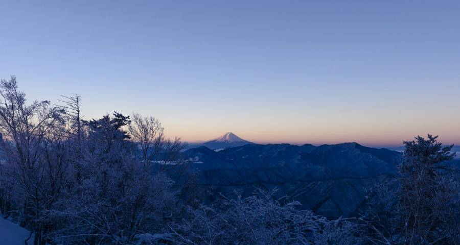 哪些品类能托起家电企业的未来？-家电圈官网
