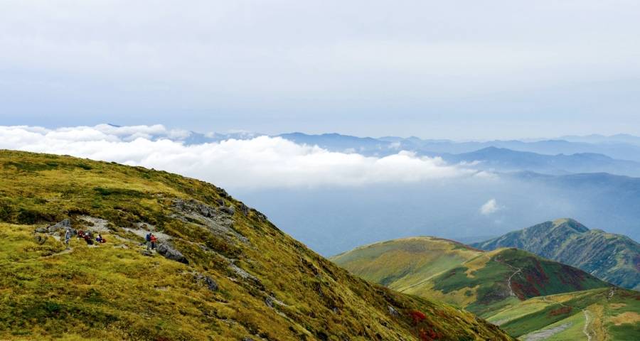 今年家电最惨的不是空调是冰箱-家电圈官网