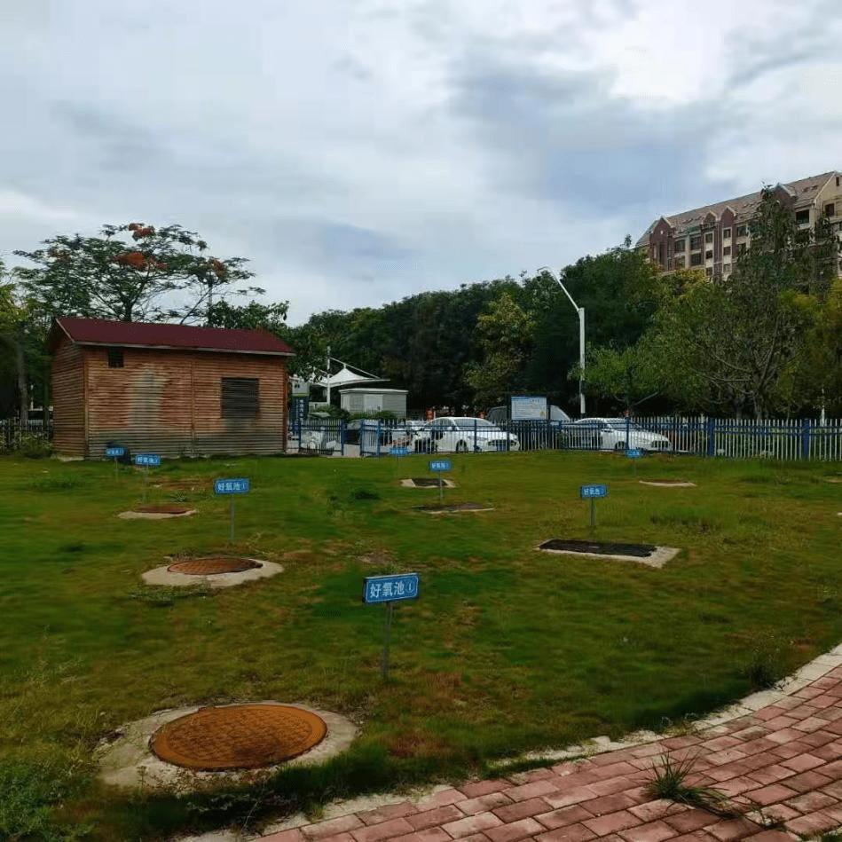 其以海綿城市的建築標準建造:雨水花園,下沉式綠地,綠色屋頂,透水鋪裝