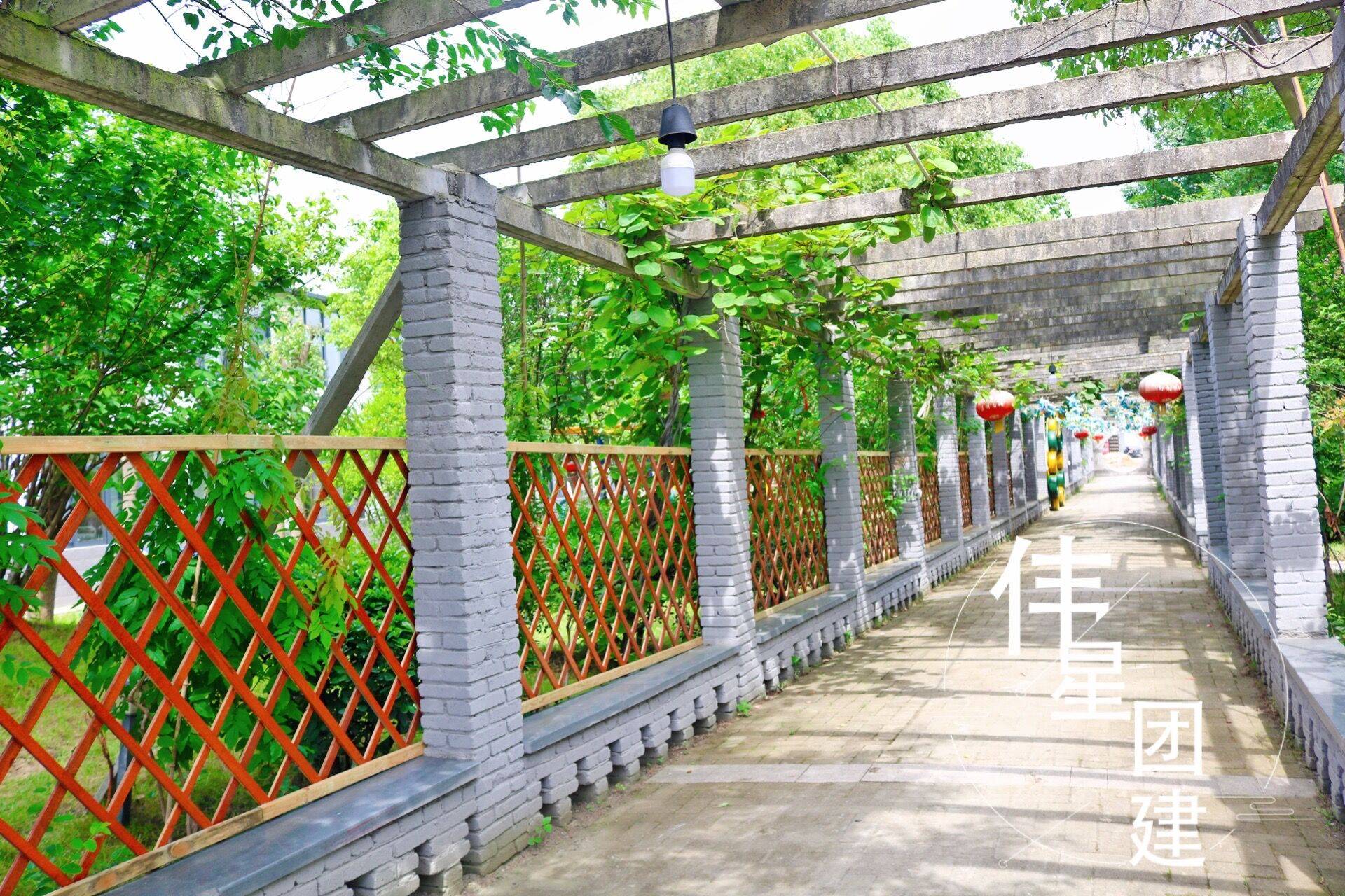 合肥适合团建的地方|周边适合团建的地方-搜狐大视野-搜狐新闻