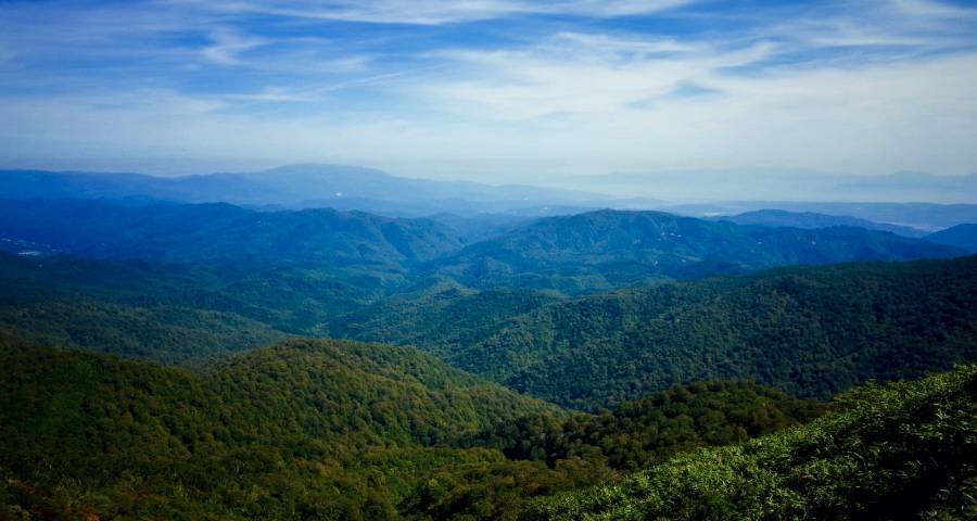 今年家电行业没有坏市场只有懒企业-家电圈官网