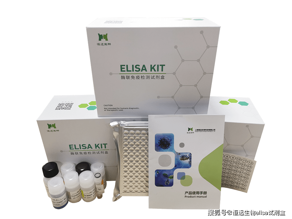 猪甲状腺激素thyroxineelisa试剂盒说明书