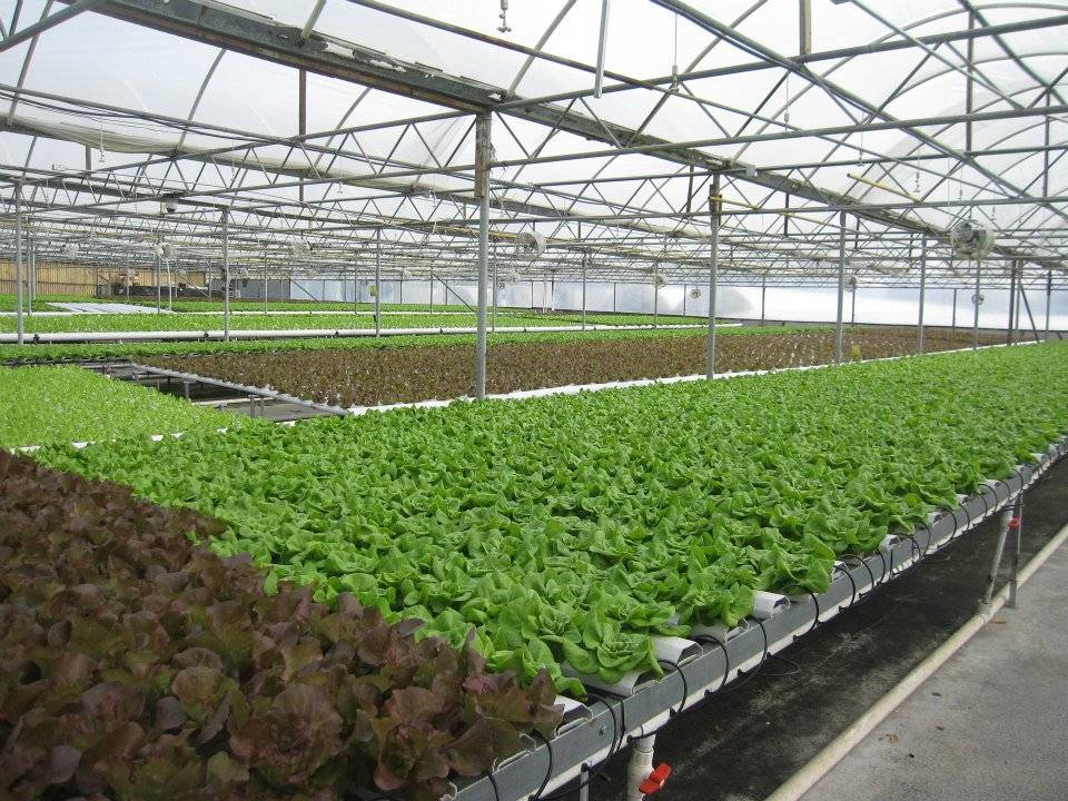 栽培床建造用材 材料