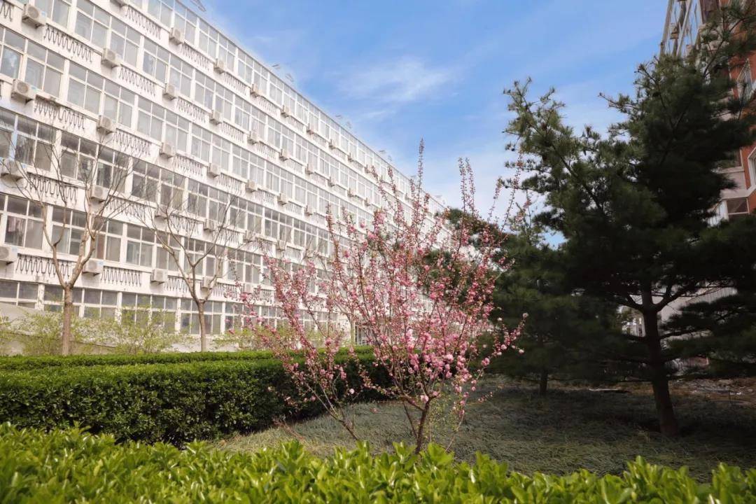 电力学院排名_河北水利电力学院(3)