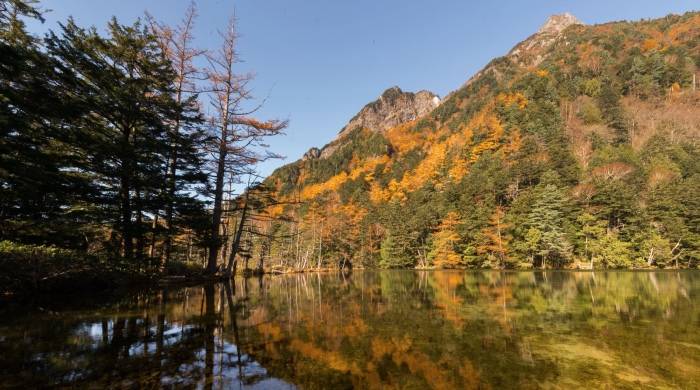 市场消费力根本没出问题，是家电厂商发掘市场能力变差了！-家电圈官网