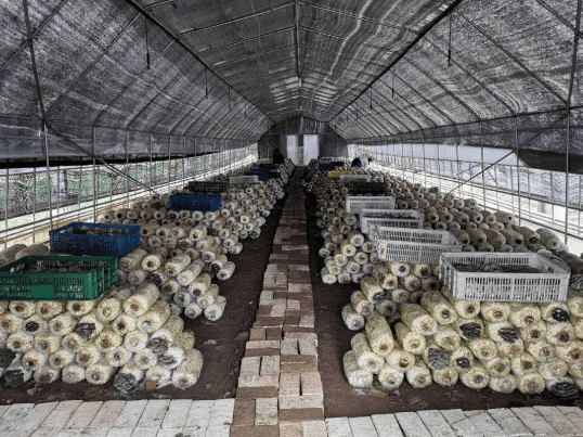 永寿 光伏产业为农业高质量发展注入新动能 永寿县