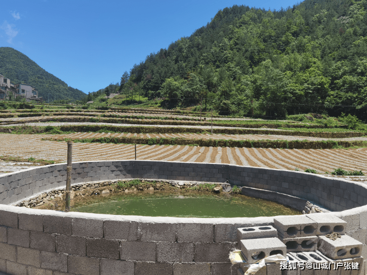 先锋堡垒|官阳镇:新民村新生活