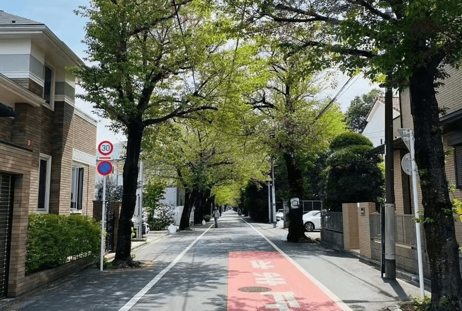 街摩排行_小程序排行榜街电远超对手位列共享充电第一(2)