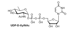 gmp与gdp(3)