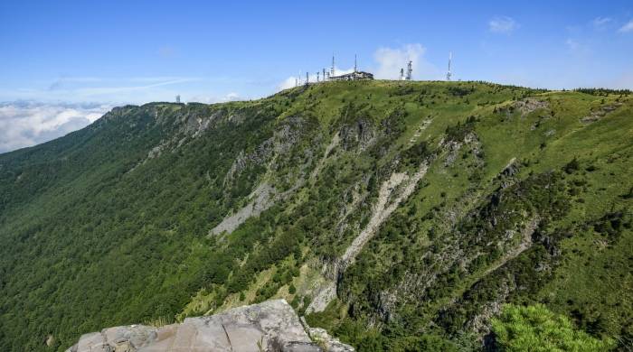 家电渠道经销商的现状:九成迷茫八成观望一成在行动-家电圈官网