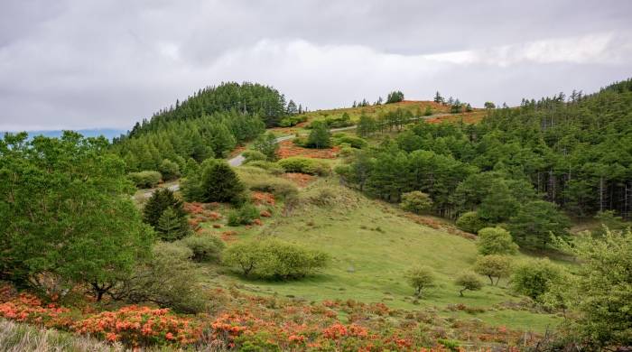 彩电企业今年的风起霜降时刻:未来出路不只是那两条!-家电圈官网