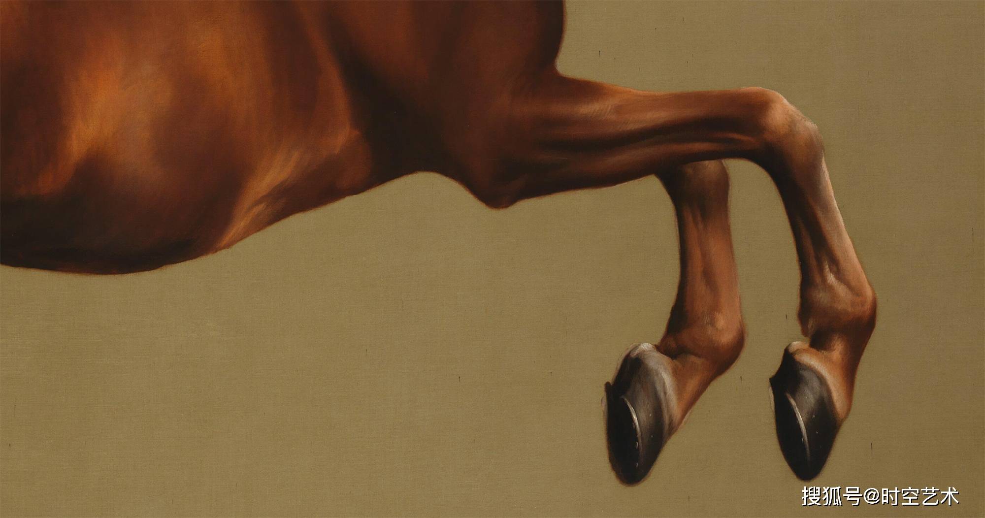 阿拉伯纯种马whistlejacket完美无瑕的美丽典范