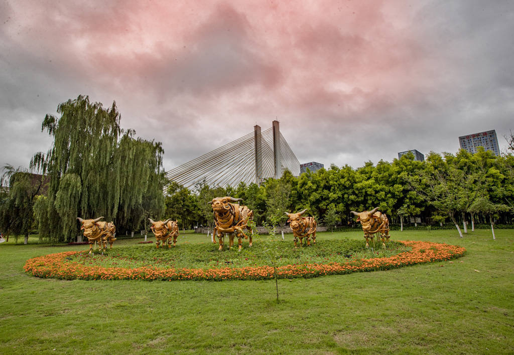 印象嘉陵江溼地公園:南充一道靚麗風景線