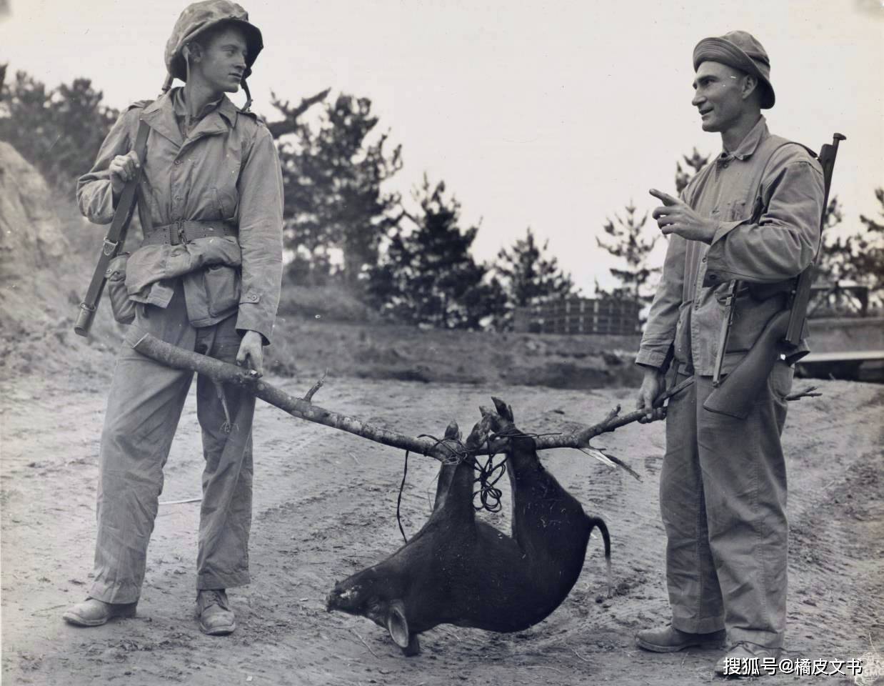 原创一张二战老照片看着有趣里面却有恒古不变的大道理