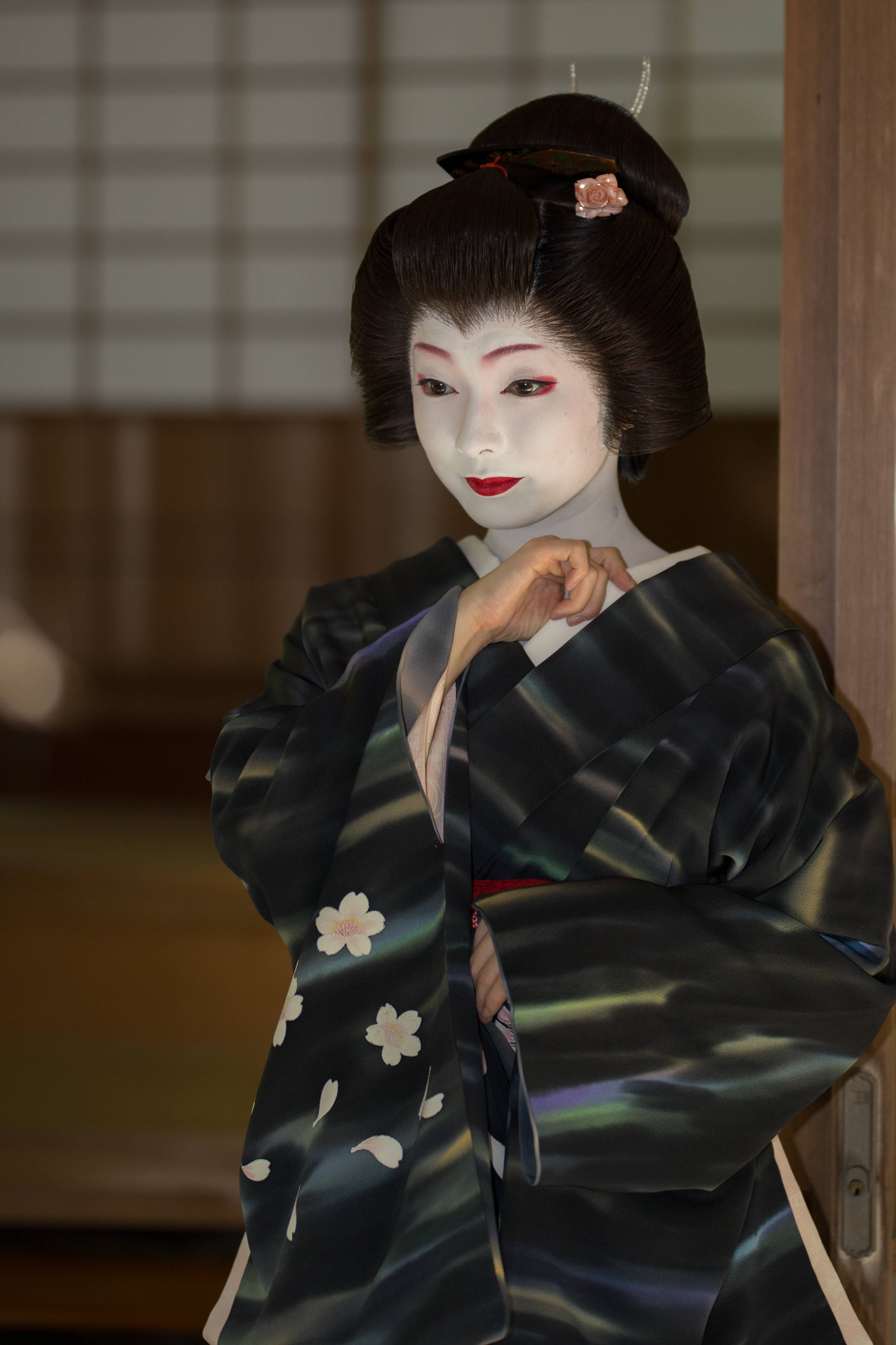 筍亭芸伎とし真菜筍亭日本艺伎(geisha)产生于17世纪的东京和大阪