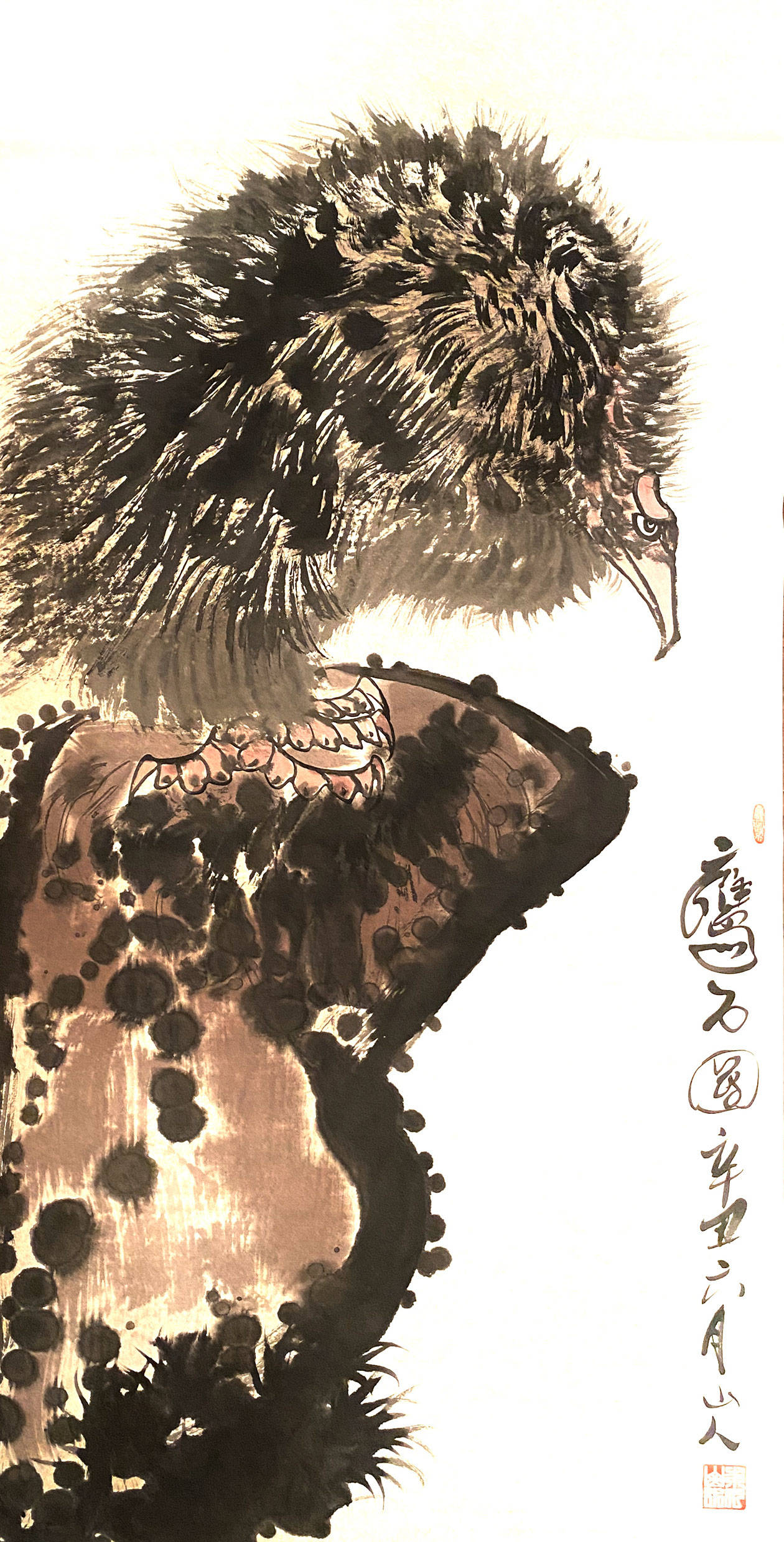 自由飞翔的鹰 943a9071355d4938ad5eb09db16fc099.jpeg