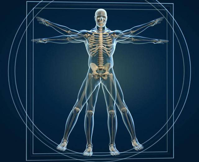 原创黄帝内经中的精彩论述到底是肾主骨还是少阳主骨以及实际的应用