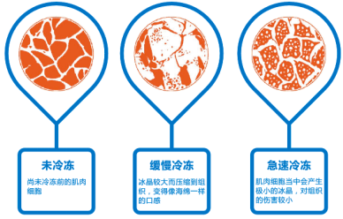 食品速凍的意義