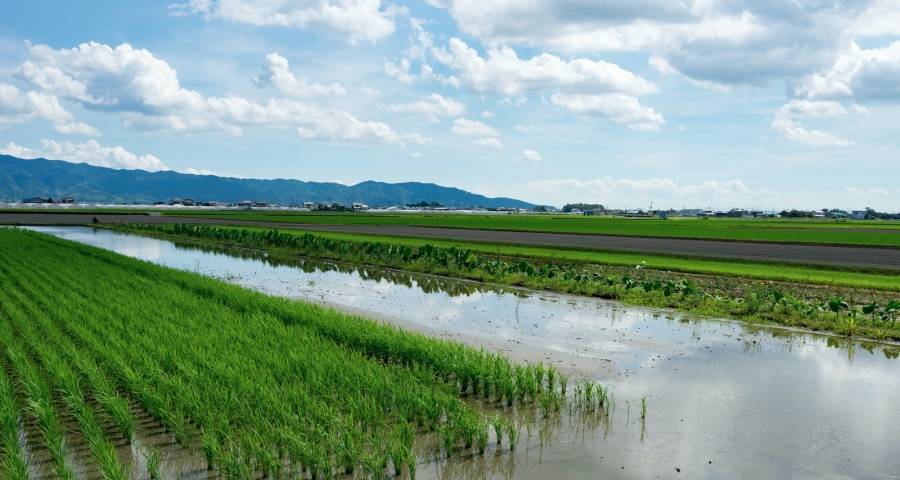 家电挑战者的渠道新玩法:既要快速出货还要塑造品牌-家电圈官网