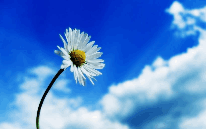 治疗|北京治疗皮炎好医院 皮炎应如何诊断