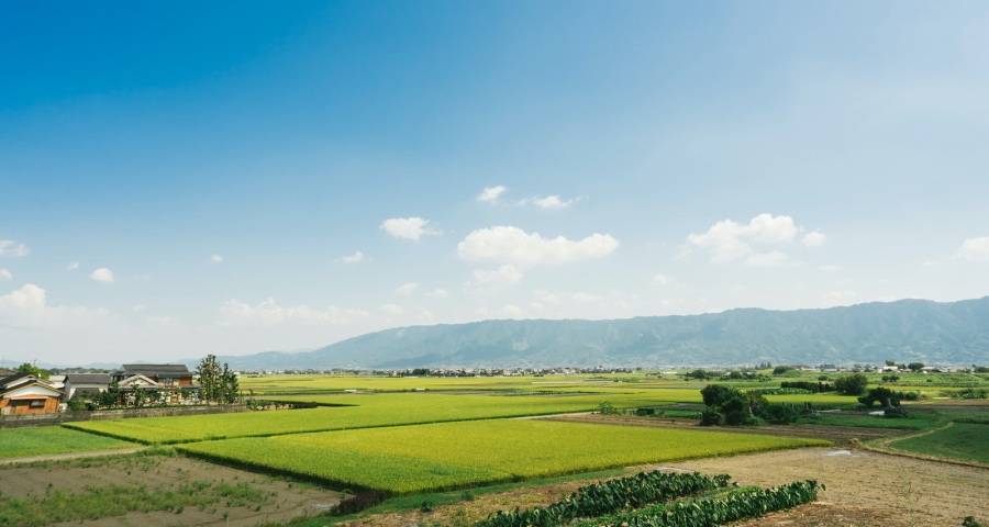 换个角度看家电市场机会仍需坚守-家电圈官网