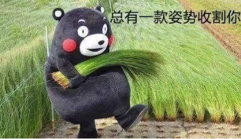 怎么找对象快 116b009428ee423184e762ebd8259f17.jpeg