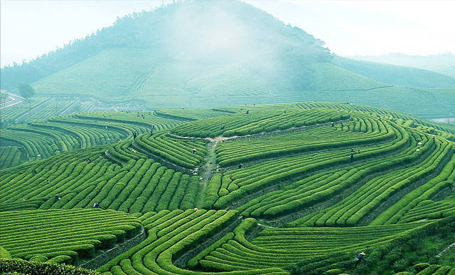 变化|宁波东钱湖福泉山