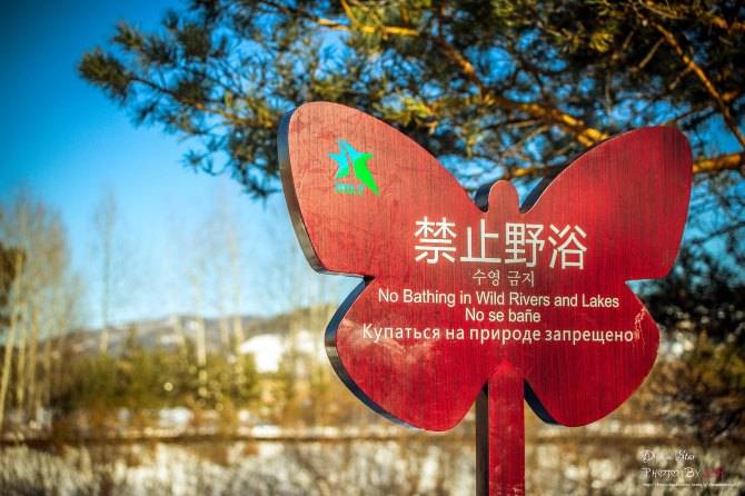 安全教育防溺水安全教育视频和指南请务必转给学生和家长