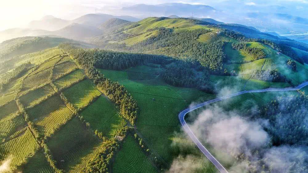 变化|宁波东钱湖福泉山