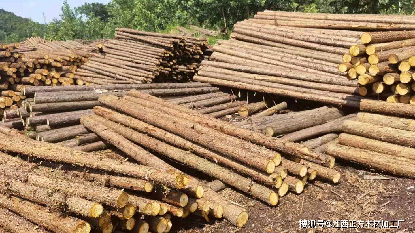 绝了武汉杉木桩市场价格飘忽不定