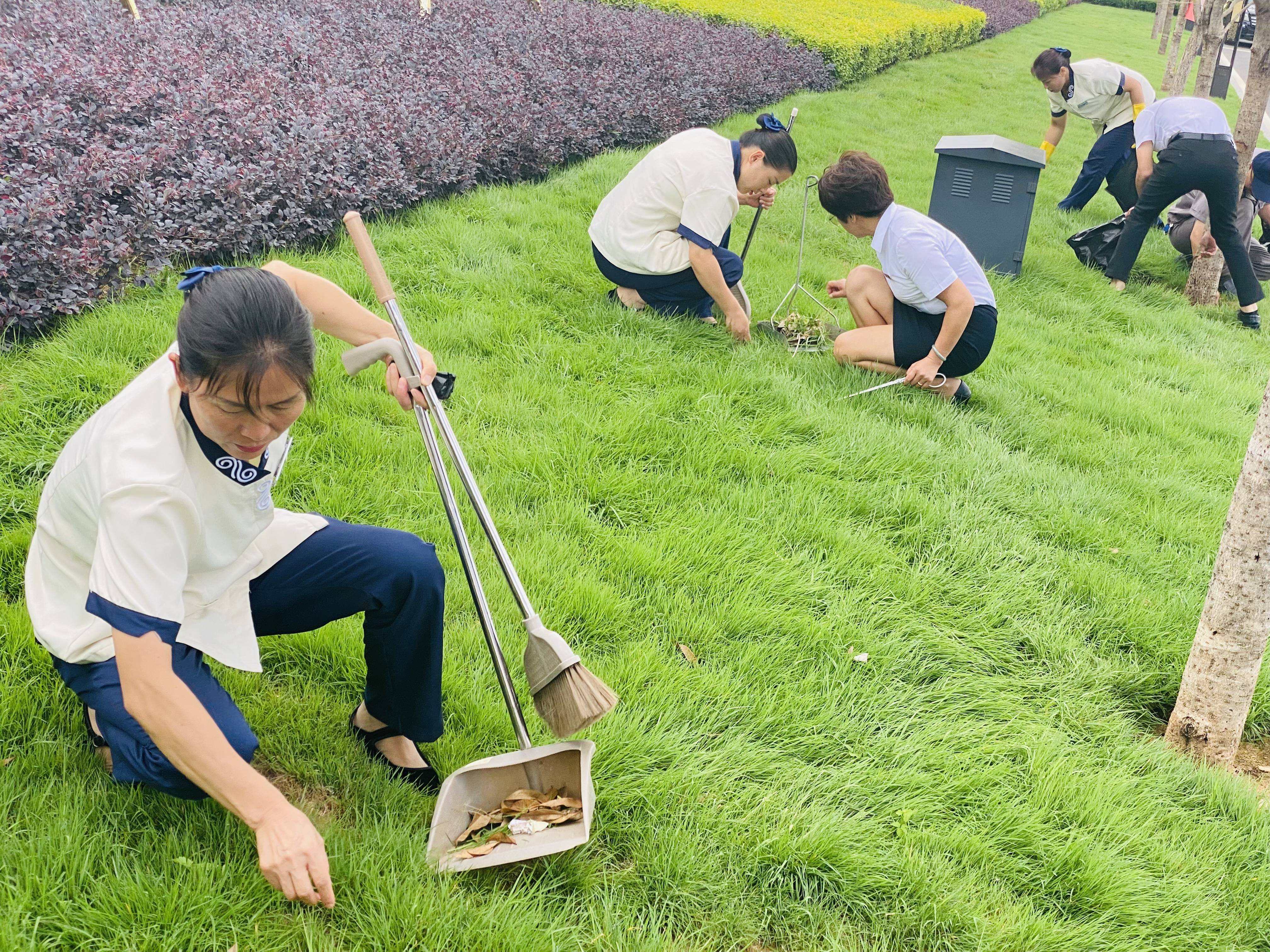 除草图片真实图片图片