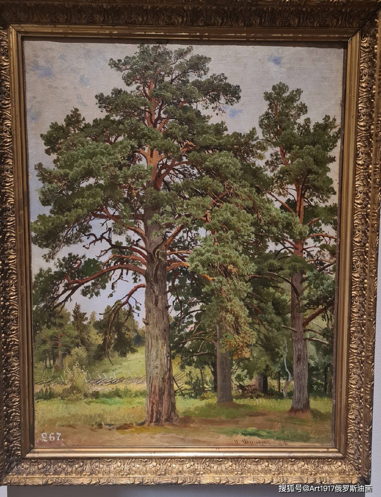 19世纪俄国巡回展览画派风景画家希施金的作品展