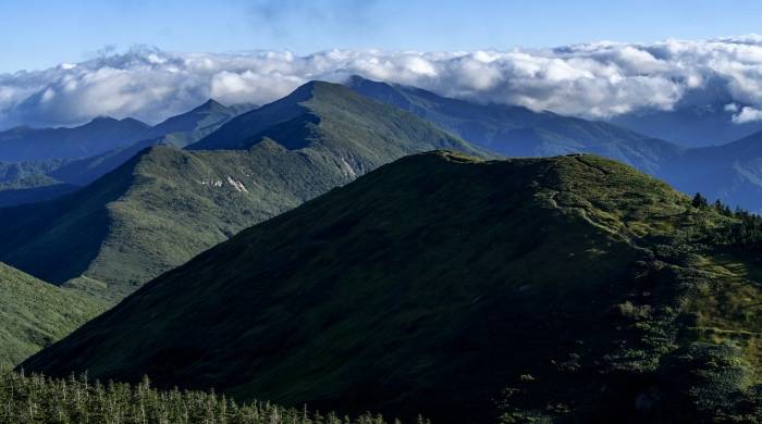 干衣机市场增长超出预期，但家电厂商要注意两个陷阱-家电圈官网