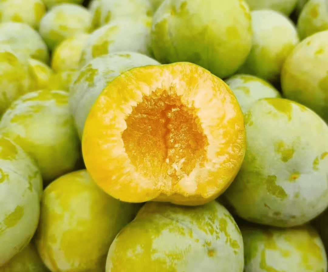 蜂糖李种植管理方法!