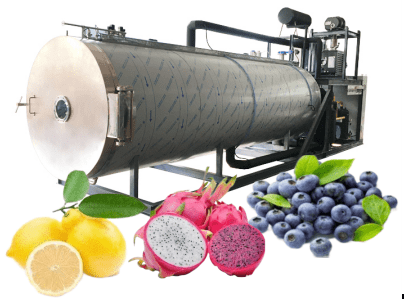 果蔬冻干机火龙果冷冻干燥机加工生产线