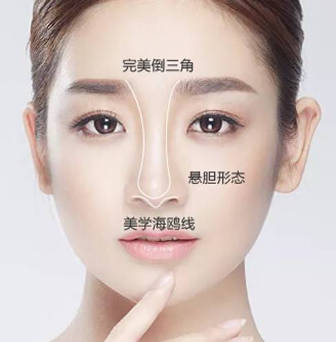 不同的隆鼻术式选择,其相关的隆鼻材料,方案设计,价格等都不相同,这也