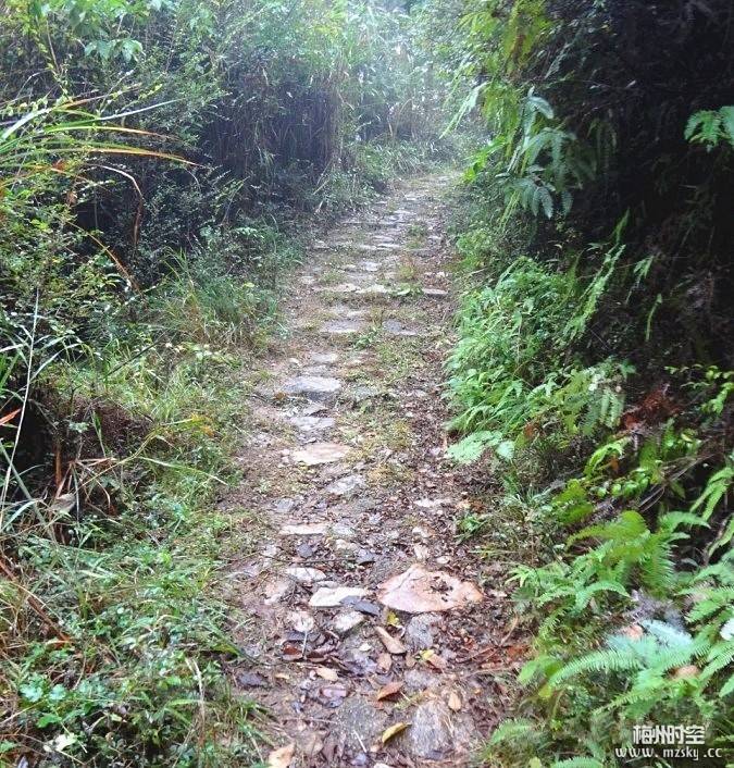 毓寿桥:牵起磊英阁层层堆积的厚厚光阴_邱汉章_七律_大埔