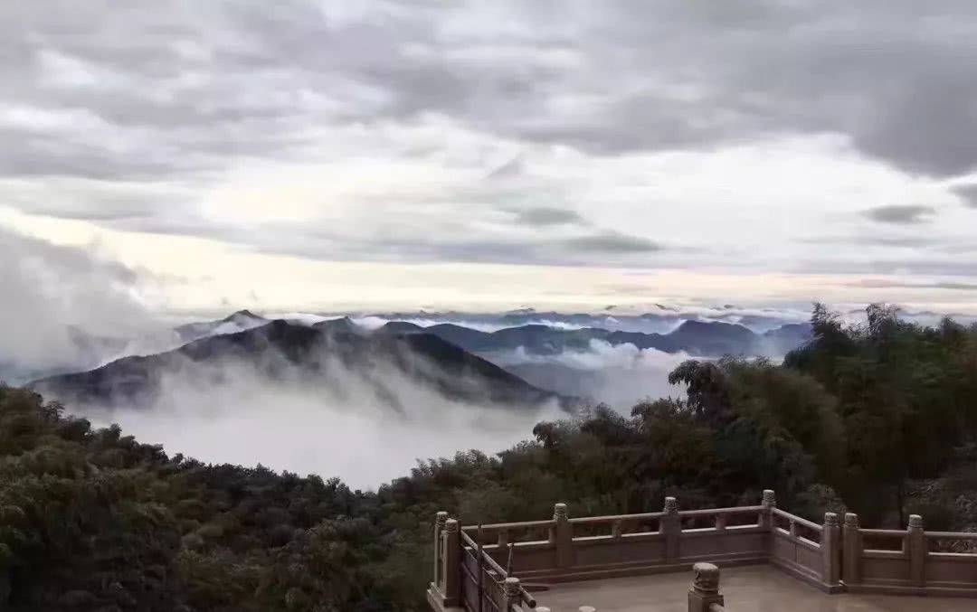 休闲|杭州东明山森林公园