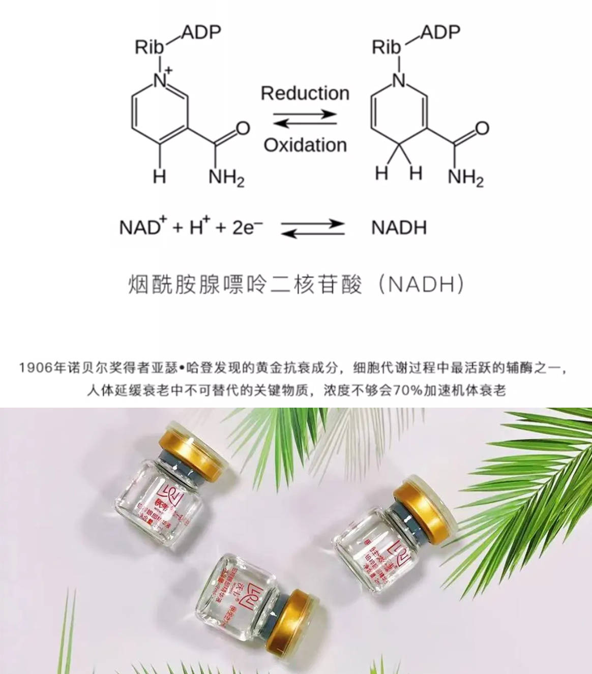 神器|号称抗衰神器？NADH是怎么让变你年轻的？