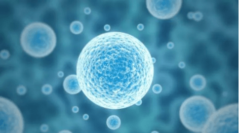 炎症|中科物谷干细胞带您了解间充质干细胞