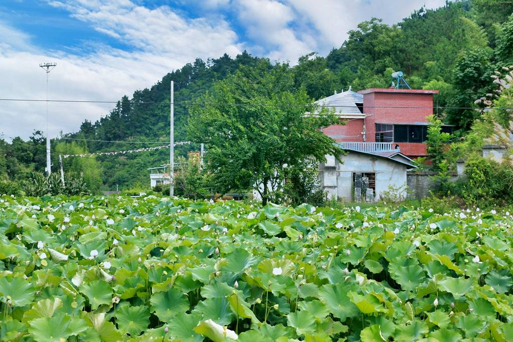 竹溪|来一场说走就走的旅行 夏日宝藏旅行地湖北竹溪