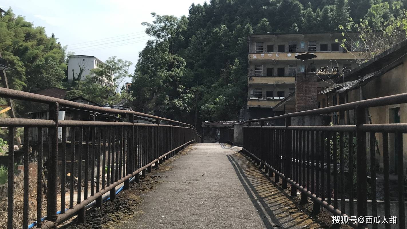文章配图-13