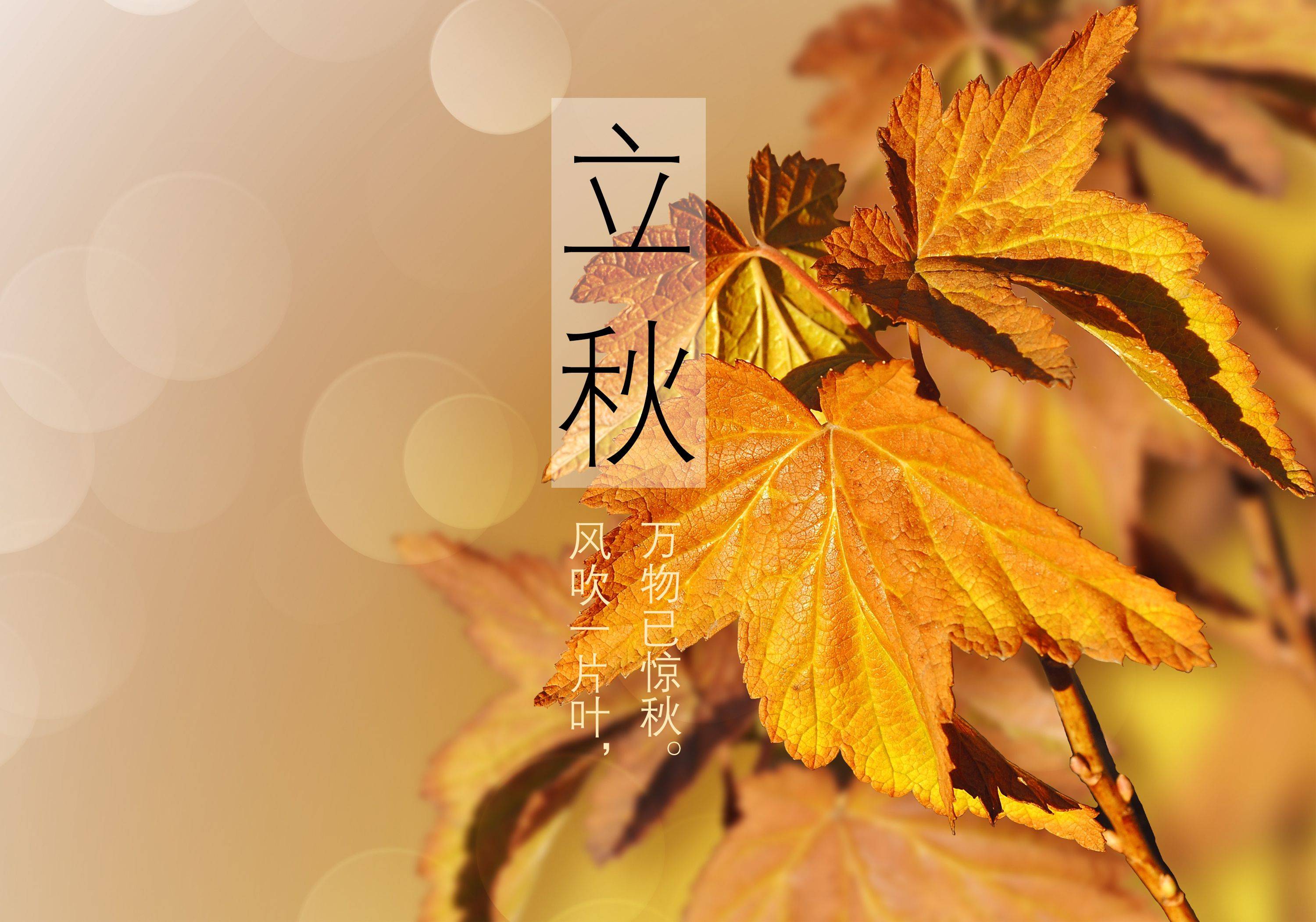 立秋衣橱整理收纳,断舍离,让衣橱更清爽!