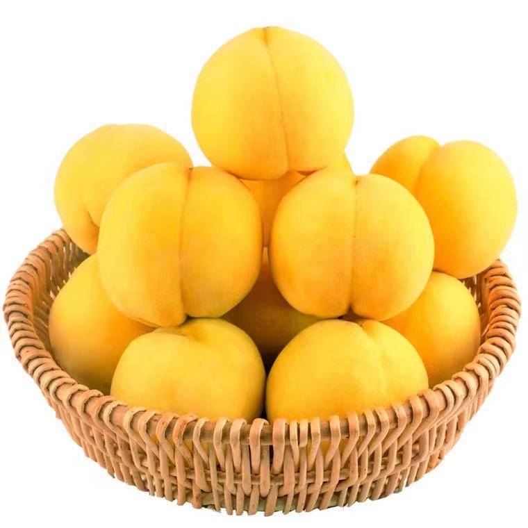 黄金蜜桃怎么样 桃苗基地批发